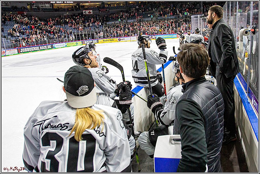 DEL;  Koelner Haie - Nuernberg Thomas Sabo Ice Tigers; Koeln, 28.01.2020